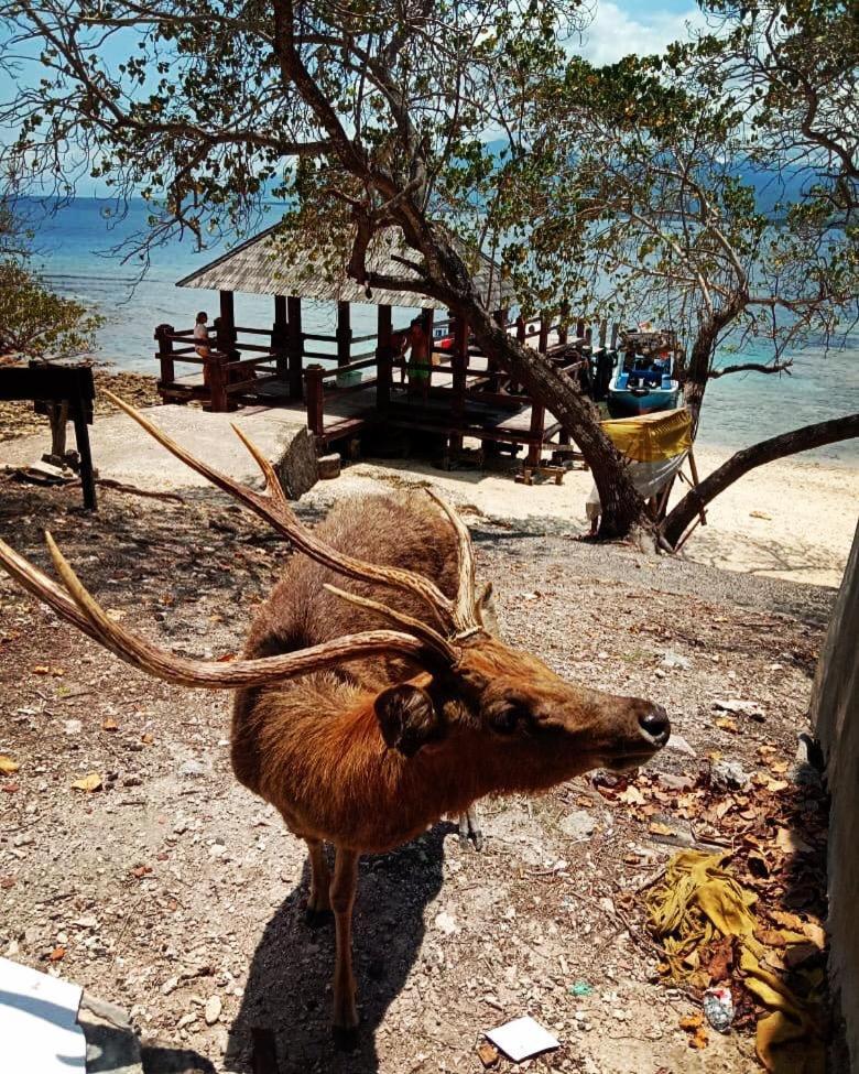 Badini Homestay เปมูเตรัน ภายนอก รูปภาพ